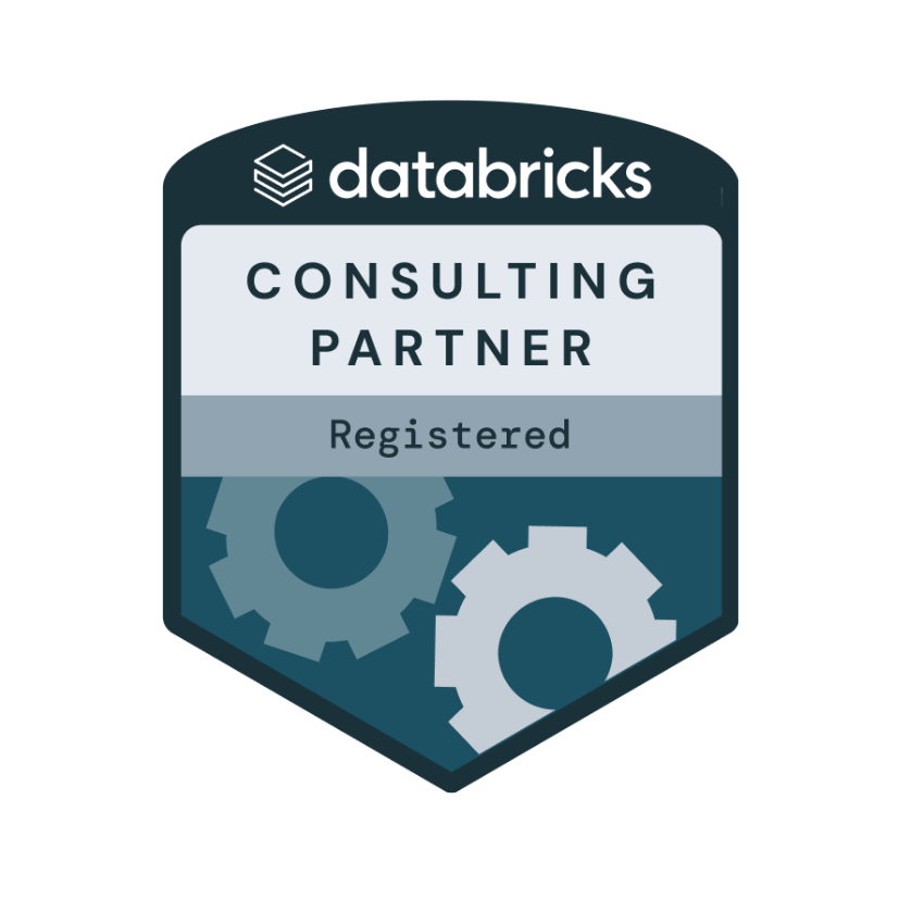 Databricks Partner